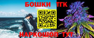 ешки Боровичи