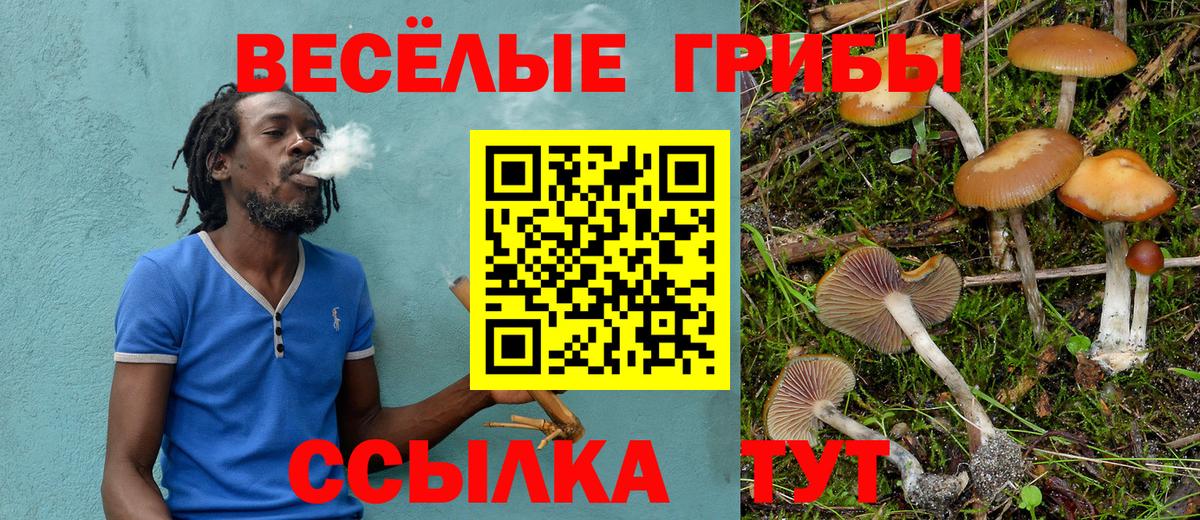 Псилоцибиновые грибы Cubensis  Зеленодольск 